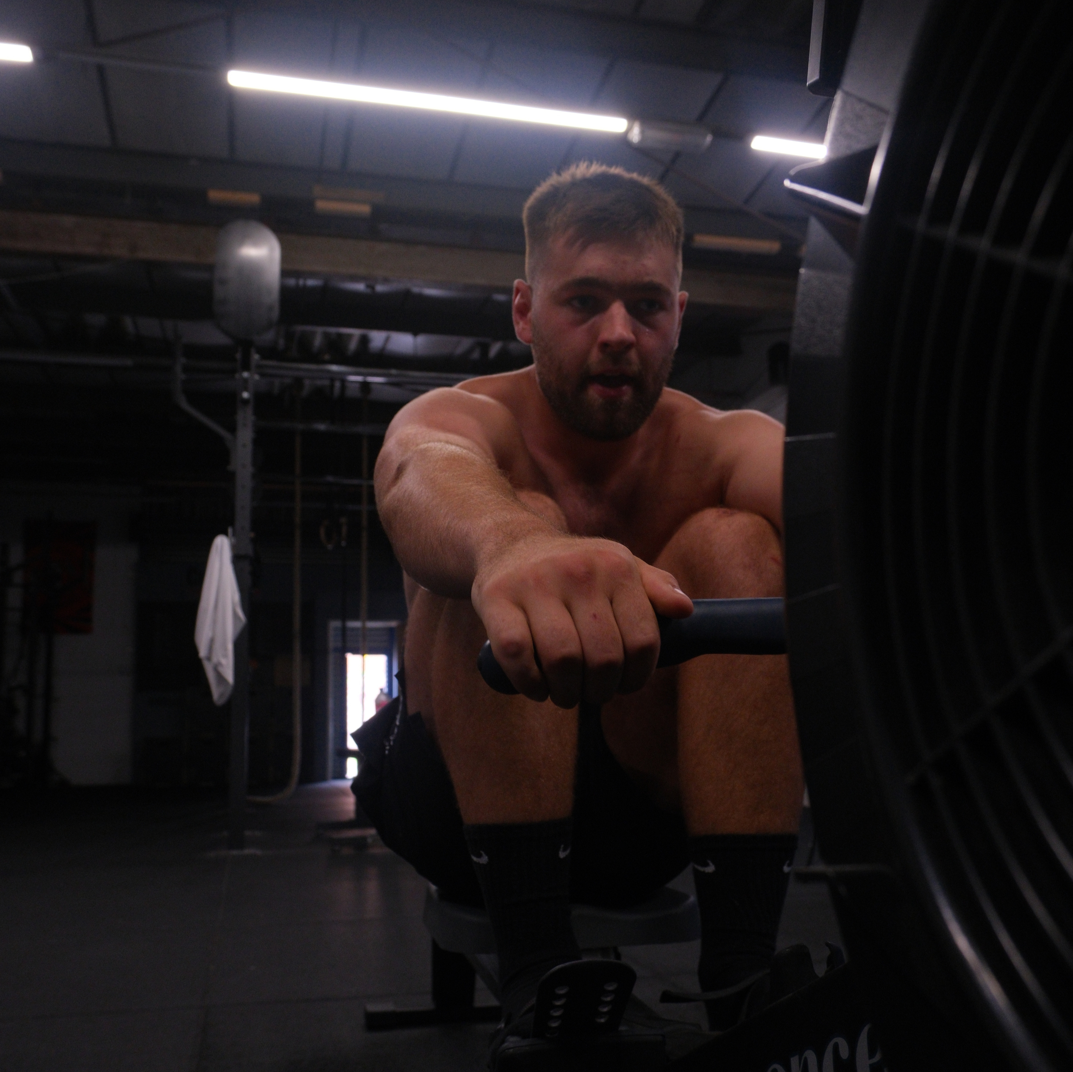 The Physique Project Programme